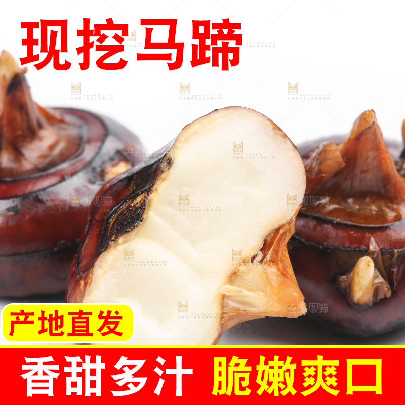 白底上放着广西马蹄