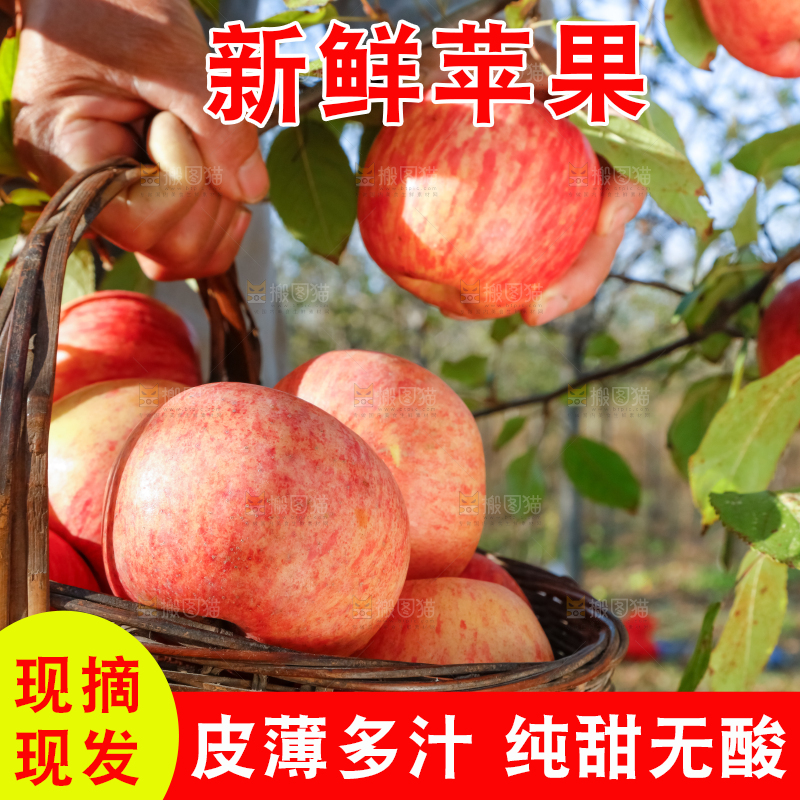 篮子里装着冰糖心苹果