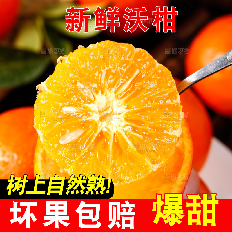 手里拿着新鲜沃柑