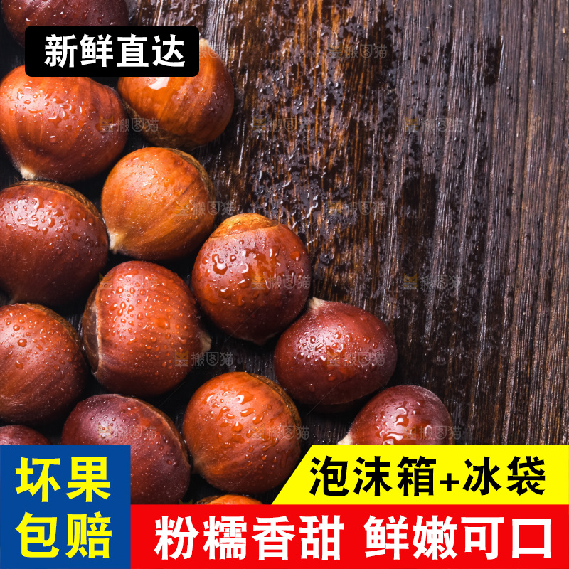 木底上的迁西板栗