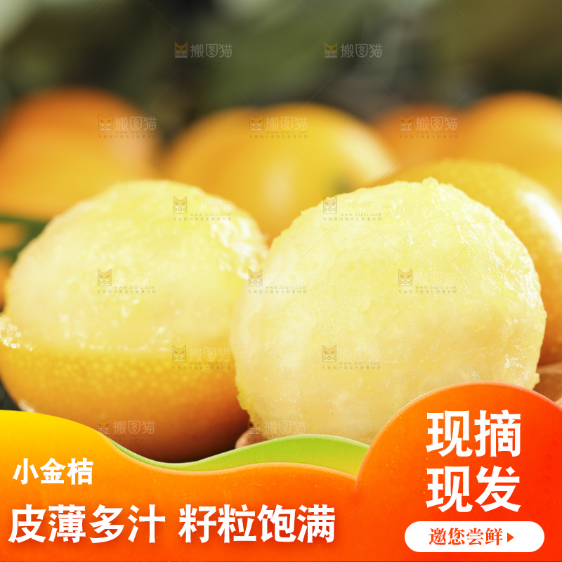 黑石板上的广西金钱橘