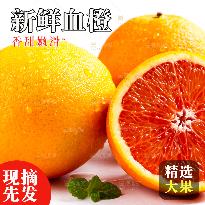 白底上的新鲜橙子