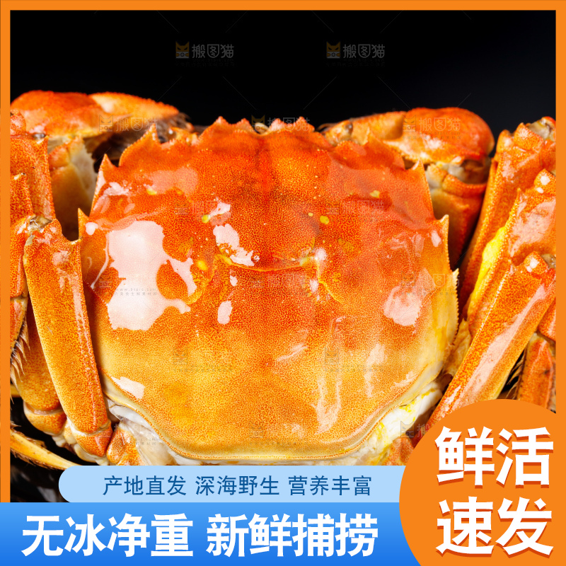 黑底上放着清蒸螃蟹