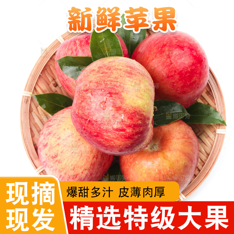 白底上的冰糖心苹果