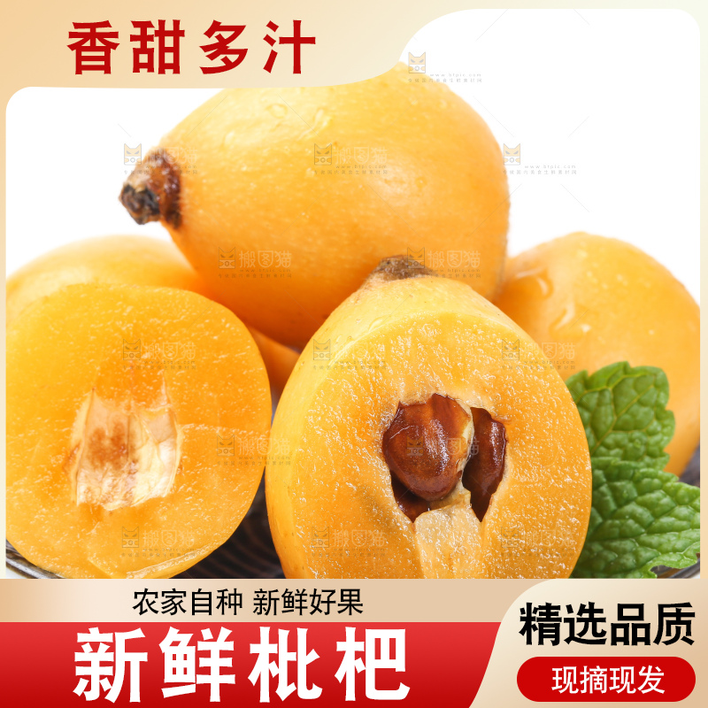 白底上的枇杷