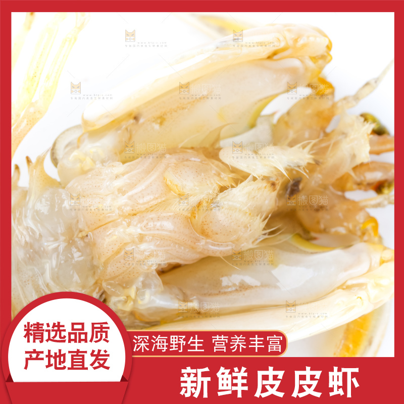 白底上的濑尿虾