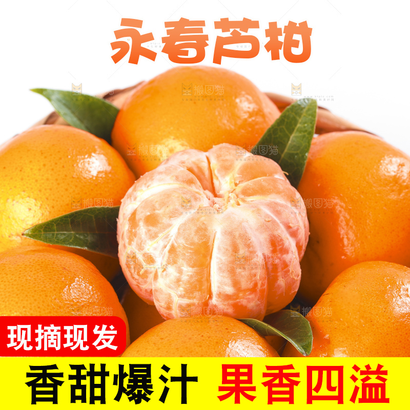 白底上放着椪柑