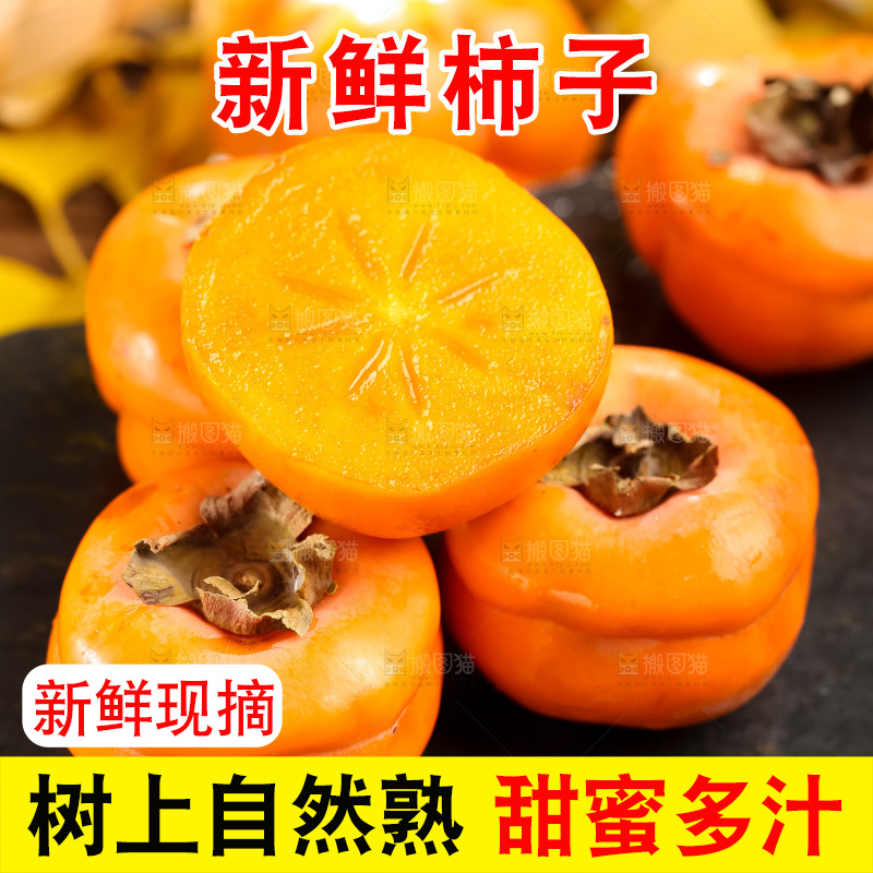 黑石板上放着易县磨盘柿