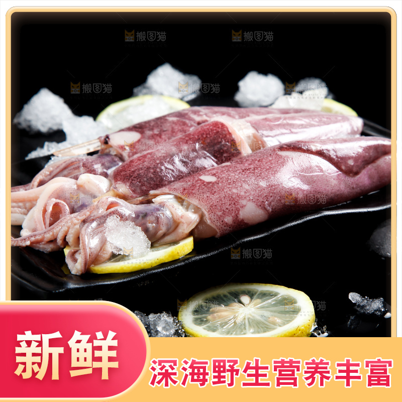 深底上放着生鲜鱿鱼