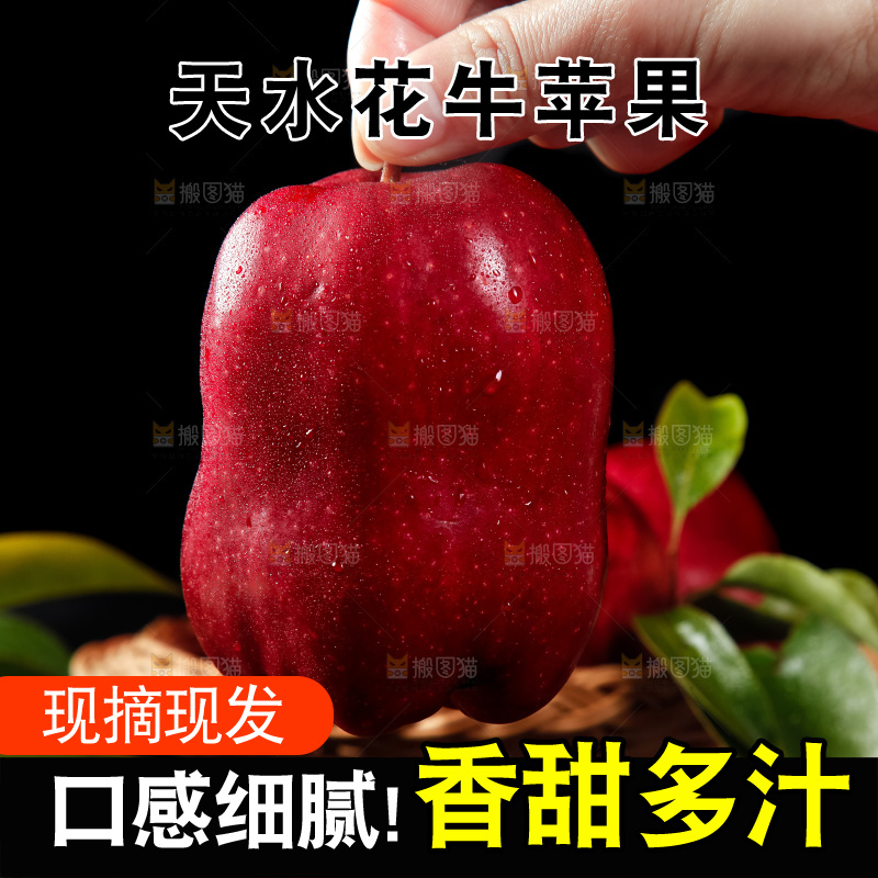 手里拿着新鲜花牛苹果