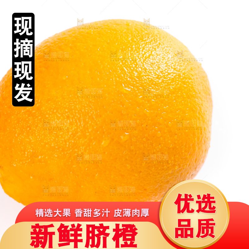 白底上的高山甜橙