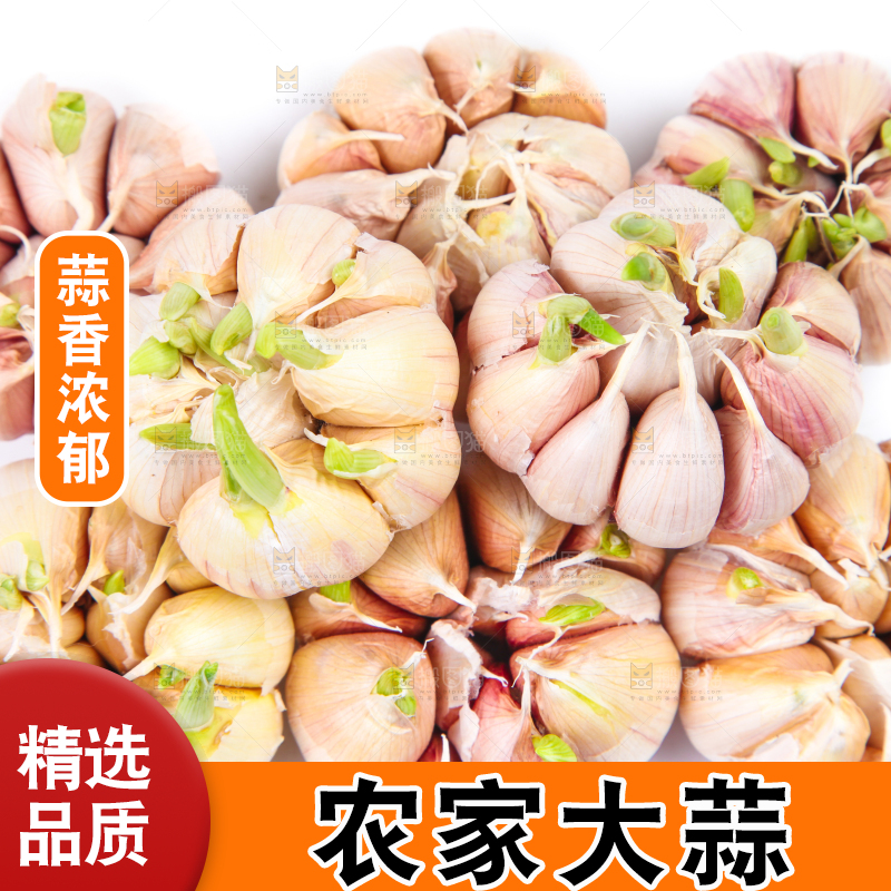 白底上放着紫皮蒜