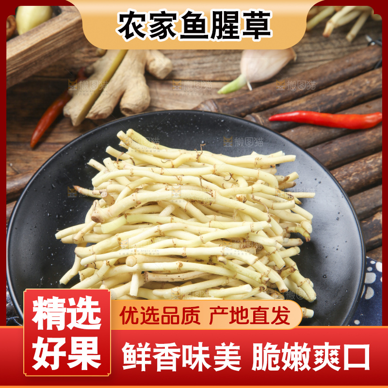 竹底上的鱼腥草