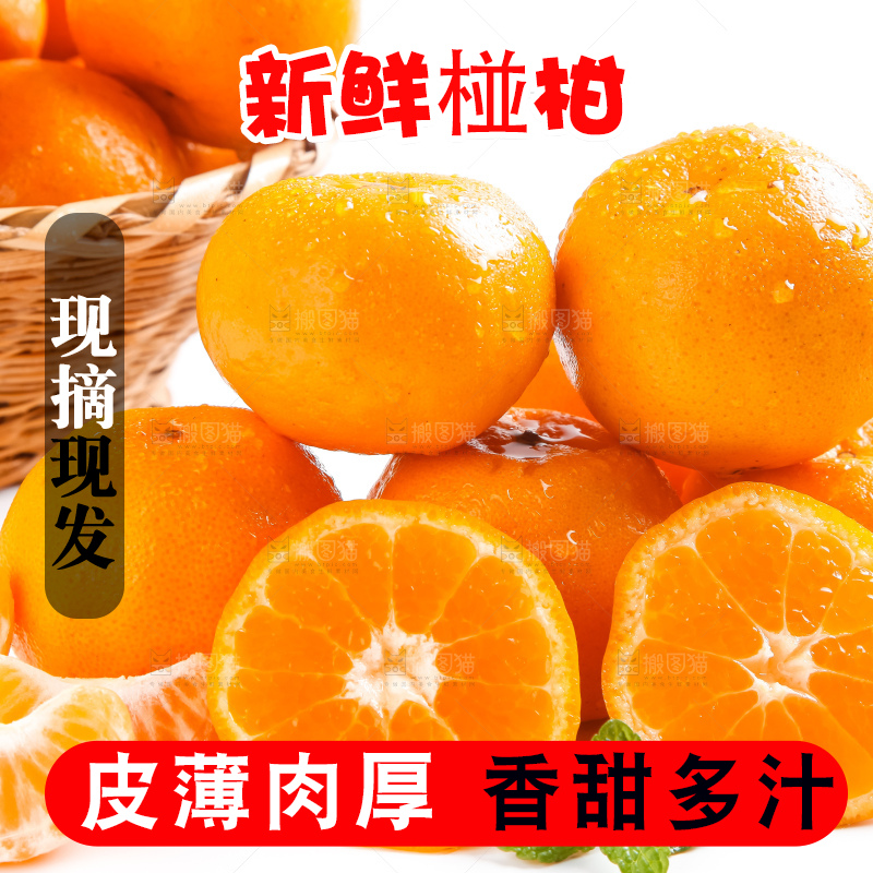 白底上摆放着椪柑橘