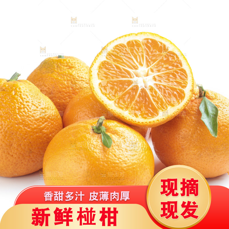 白底上一堆椪柑橘