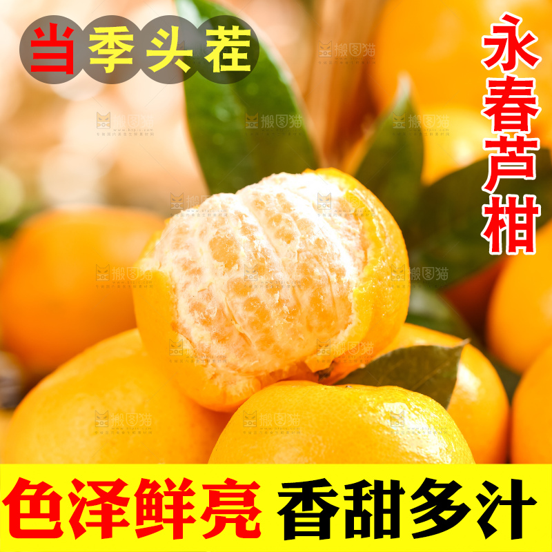 黄底上的椪柑橘