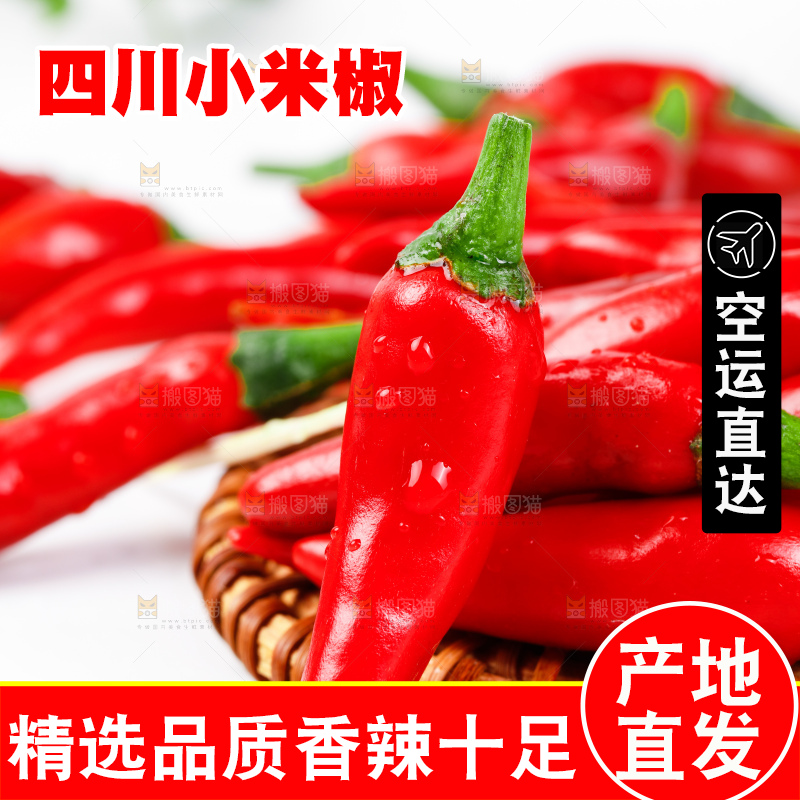 白底上摆放着广西小米椒