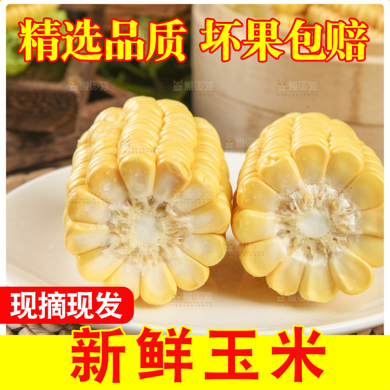 草垫子上放着一盘东北玉米