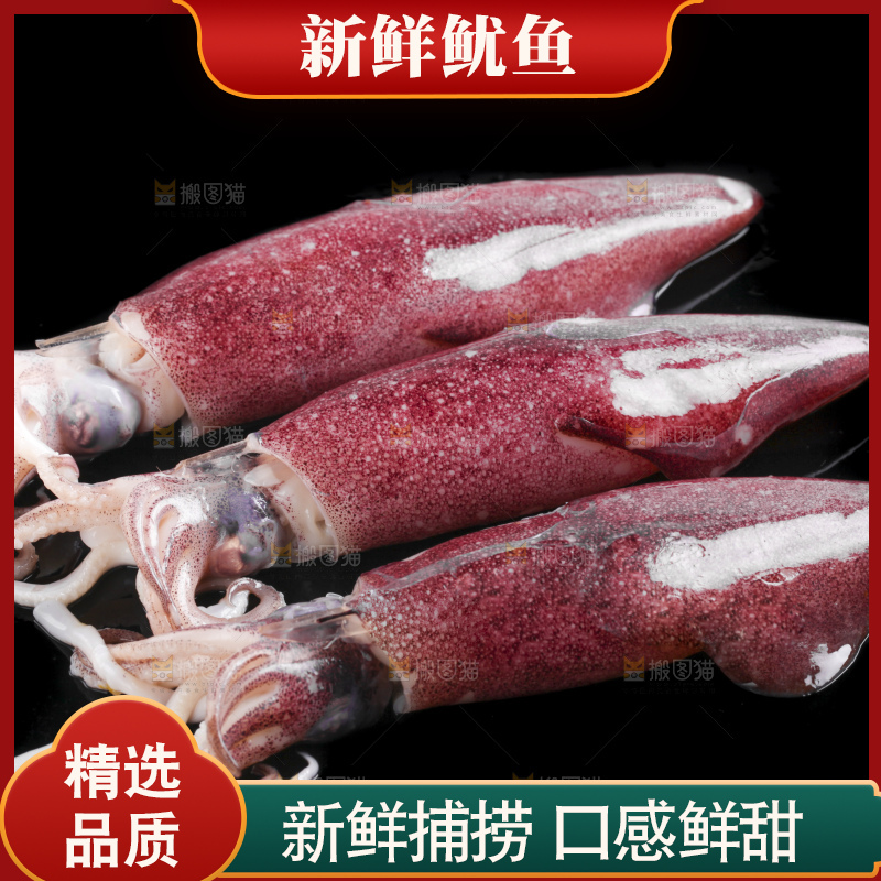 黑底上的鱿鱼