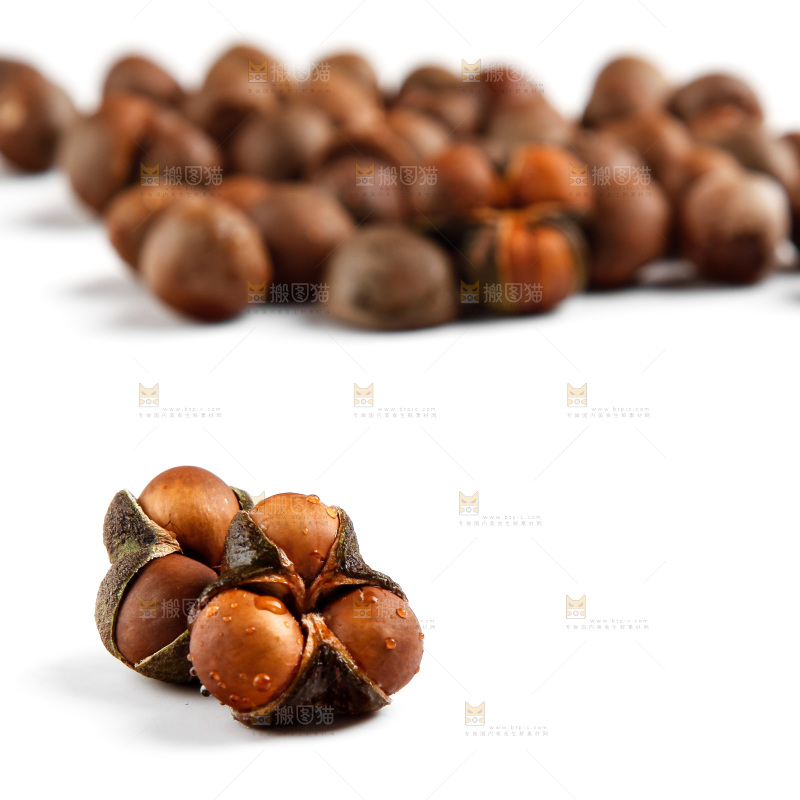 白底上放着茶树果