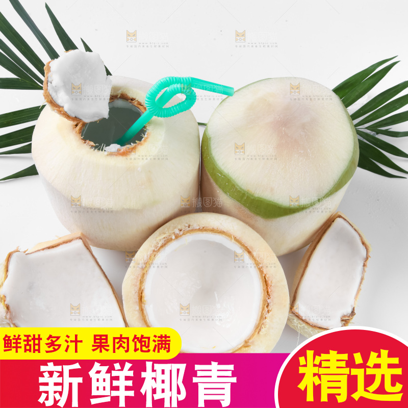 白底上青椰子