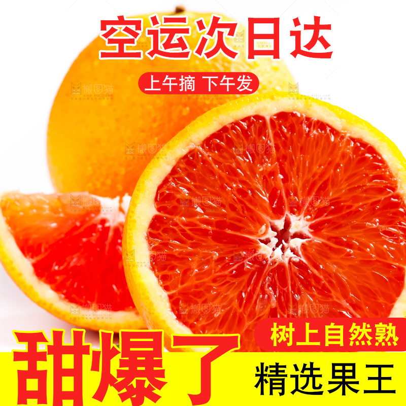 白底上的新鲜橙子