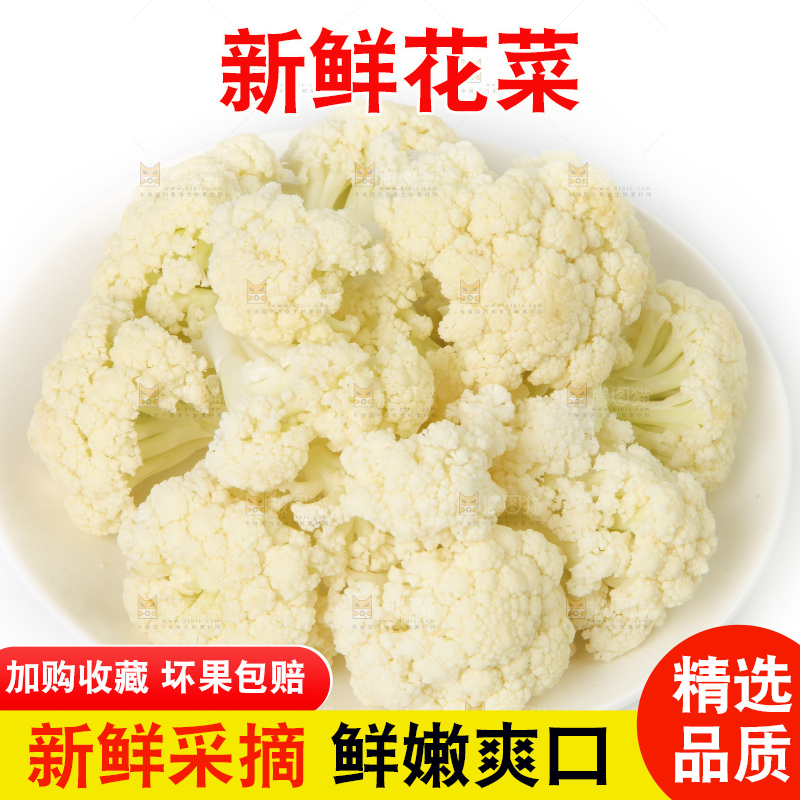 白底上的花菜
