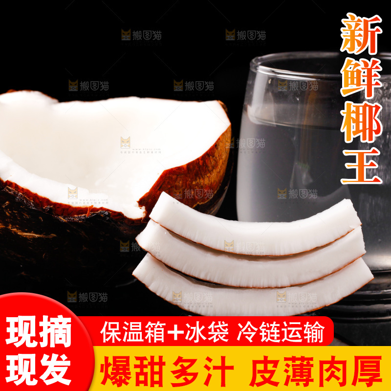 黑底上的椰王