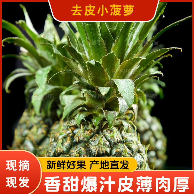 木底上的泰国小菠萝