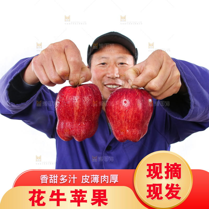 农民手里拿着天水花牛苹果