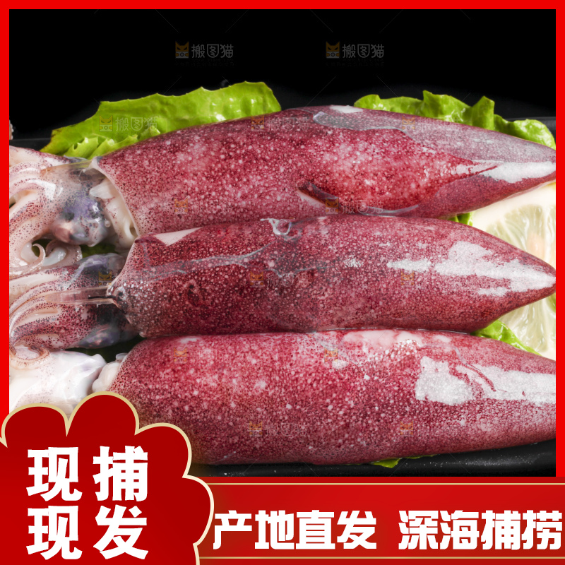 黑底上的鱿鱼