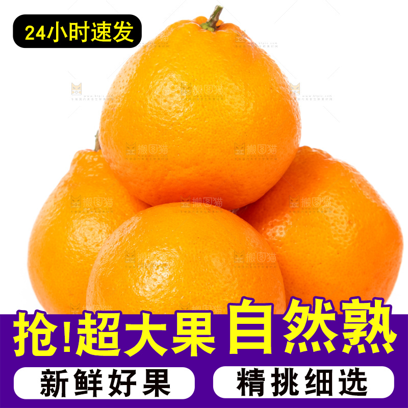 白底上的春见耙耙柑