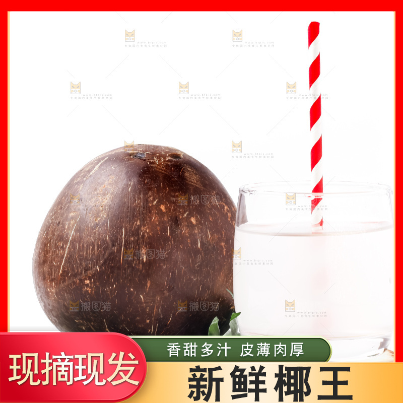浅底上的椰皇