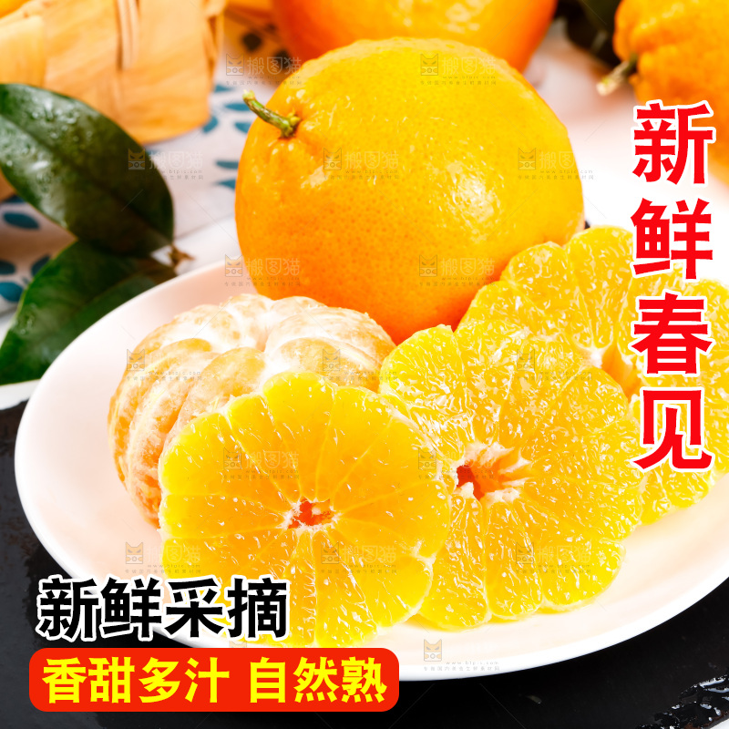 黑石板上的春见耙耙柑