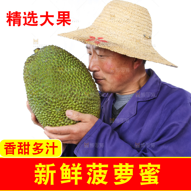农民手里拿着菠萝蜜
