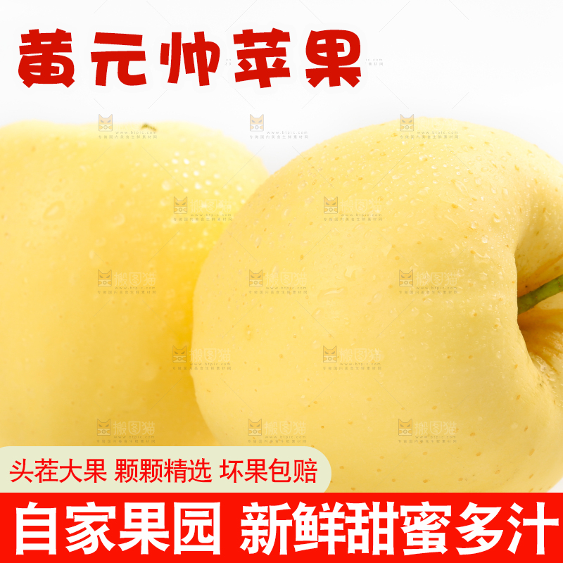 白底上摆放着黄金帅