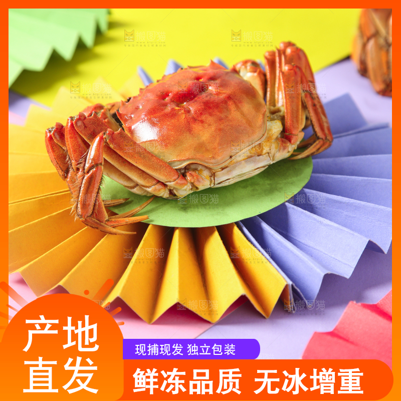 彩底上的螃蟹