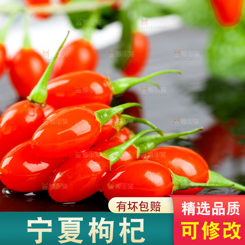 深底上放着枸杞鲜果