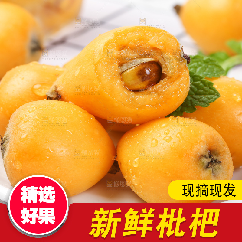 白格子底上的云南蒙自枇杷
