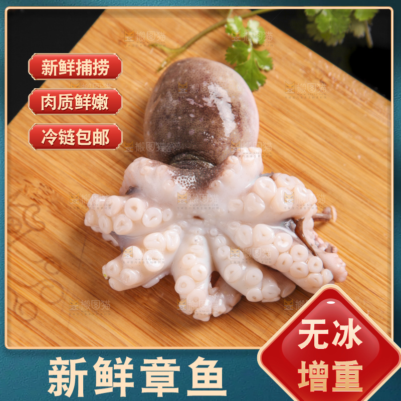 木板上的大连章鱼