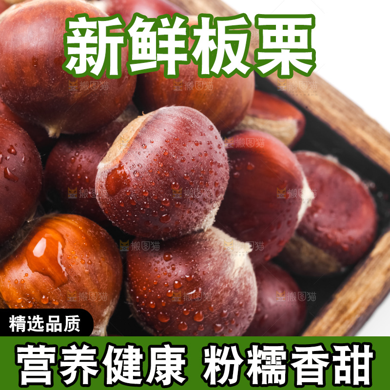 浅底上的板栗