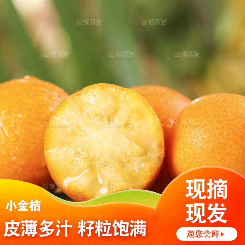 木底上放着新鲜金钱桔