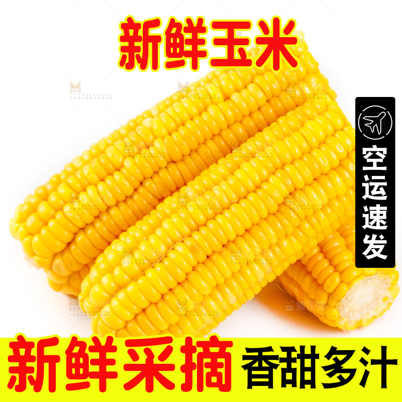 白底上放着黄玉米