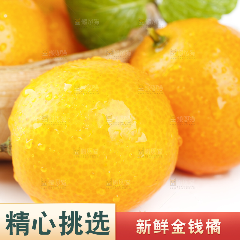 白底上的金钱橘