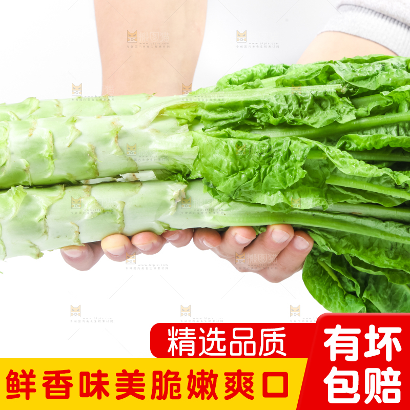 白底上的莴笋