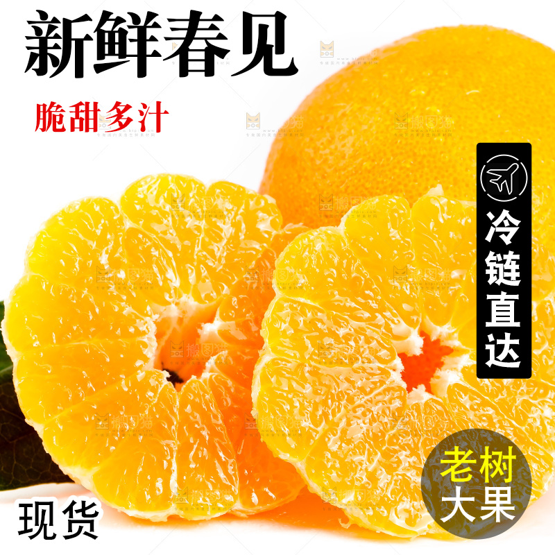 白底上放着耙耙柑