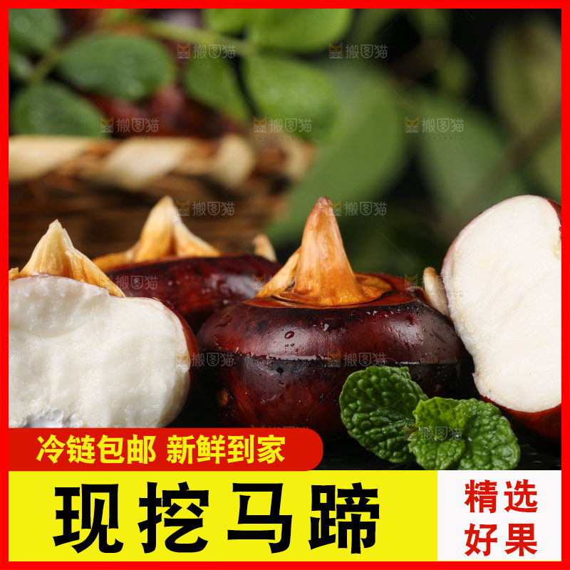 黑石板上的荔浦马蹄