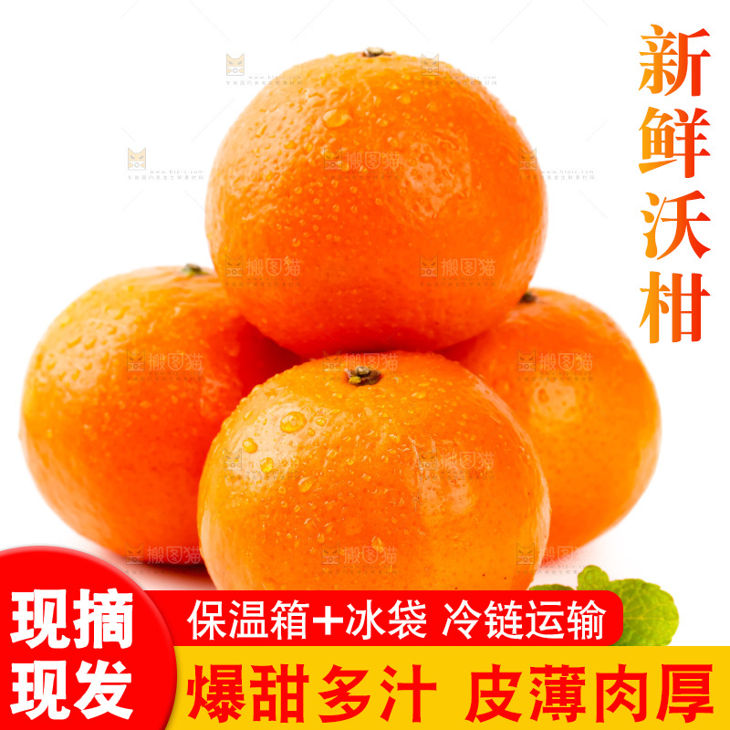 白底上放着广西沃柑