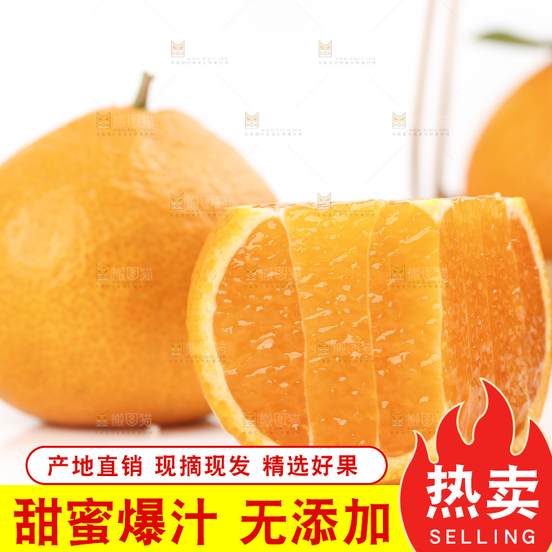 白底上的椪柑橘