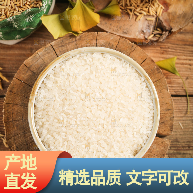 盘子里的大米